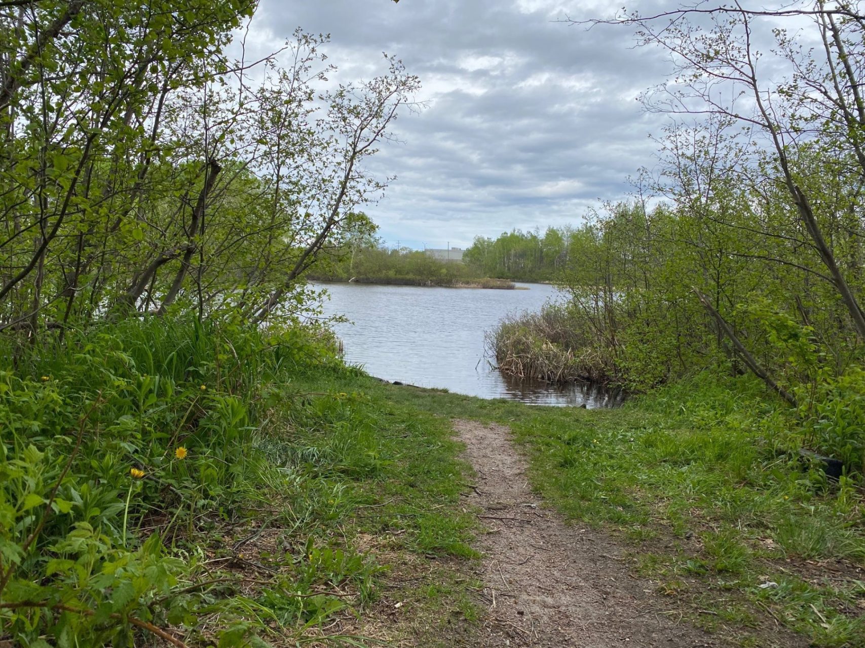 Accès à la rivière Amédée