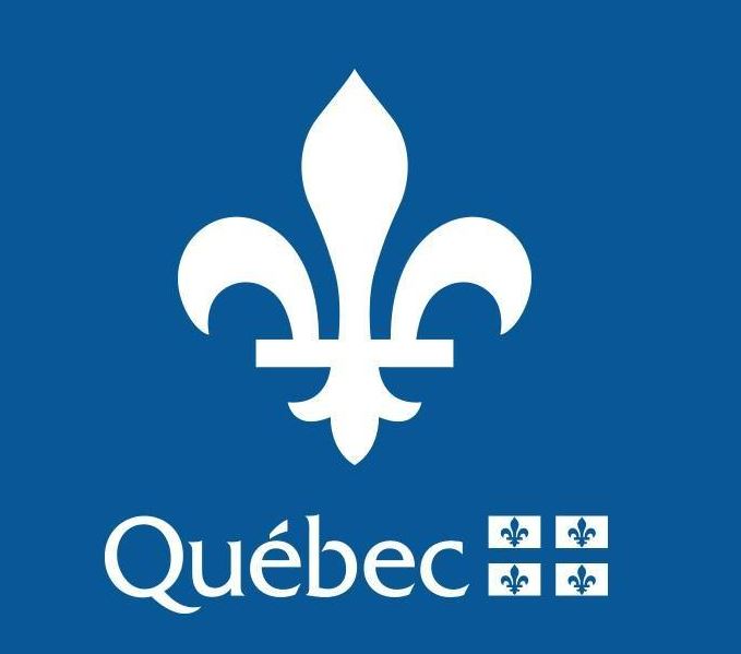 Séances d’information en ligne – Élections municipales 2025