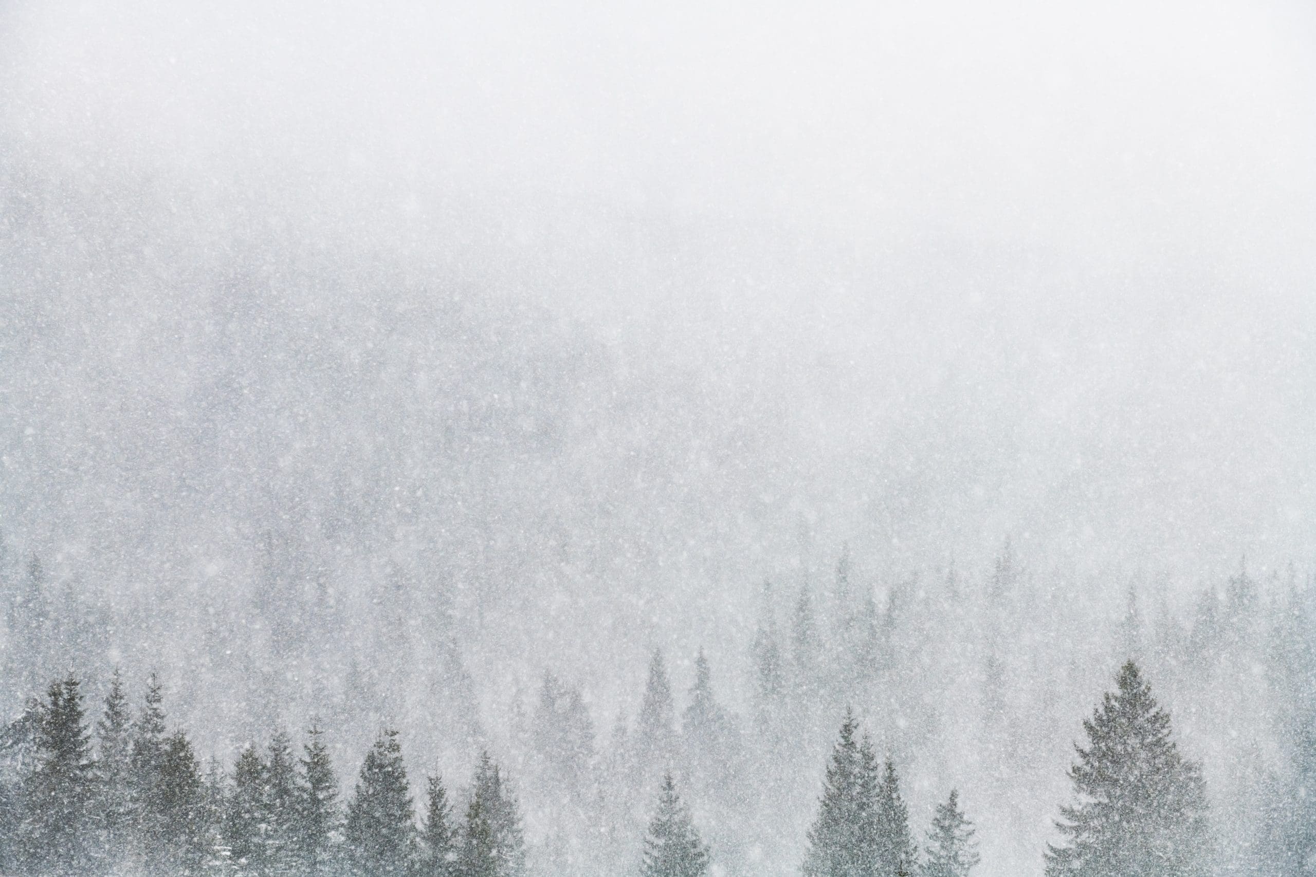 Tempête hivernale | Fermeture des bâtiments municipaux